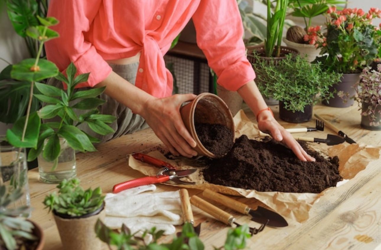 Bloom from Within: A Journey of Healing Through Flowers & Mind